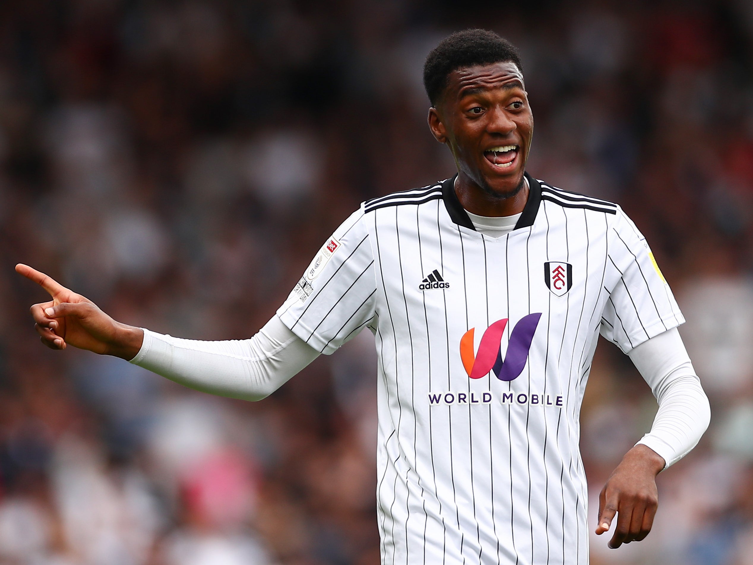 Tosin Adarabioyo has flourished at Fulham this season