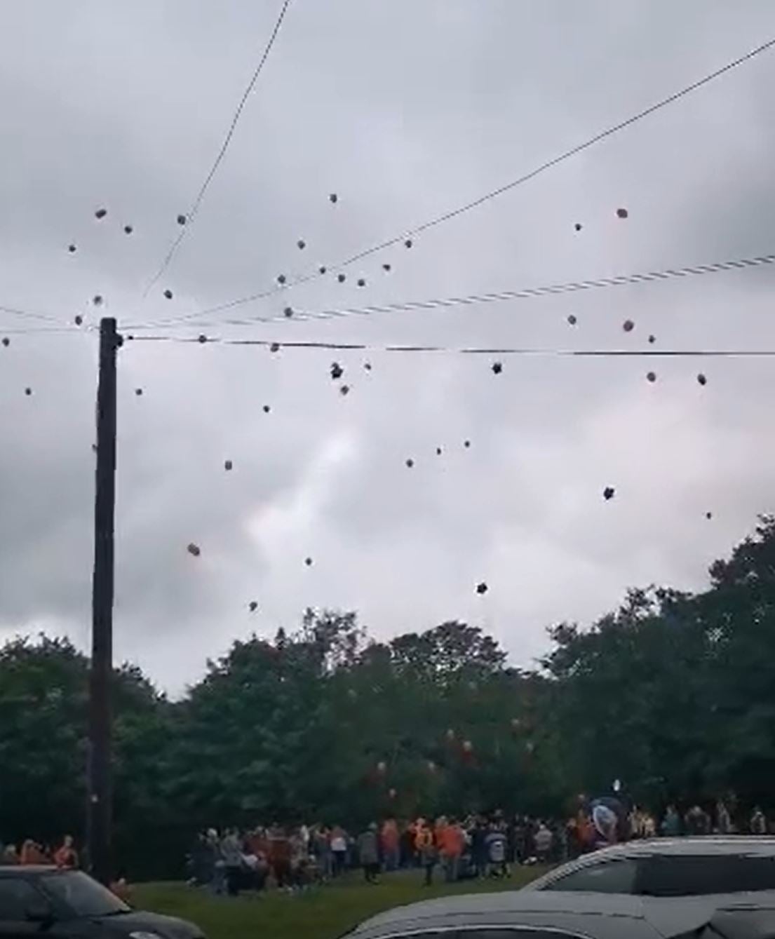 Locals released balloons near Pandy Park following the boy’s death (PA)