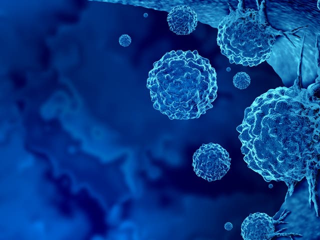 <p>The new therapy uses immune cells to target and attack cancer.  </p>