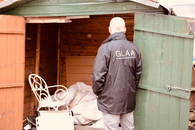 A 6ft shed at residential site north of Carlisle in Cumbria where officers from the GLAA rescued a man who had been held for 40 years (GLAA)