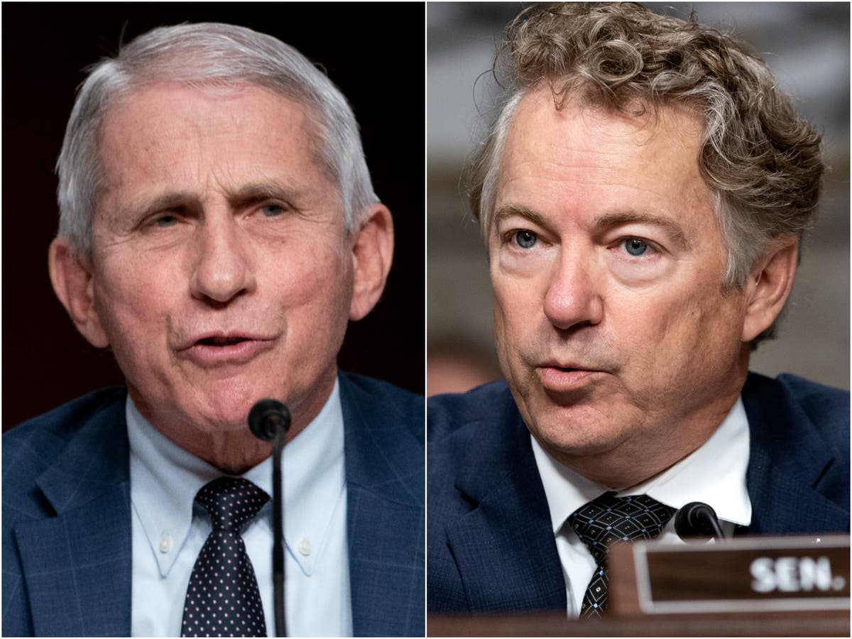 Rand Paul vows Fauci investigation if GOP wins the Senate | The Independent