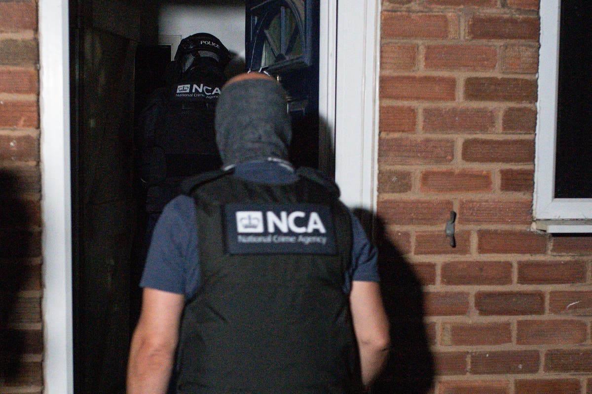 Pair arrested in Netherlands in organised crime probe