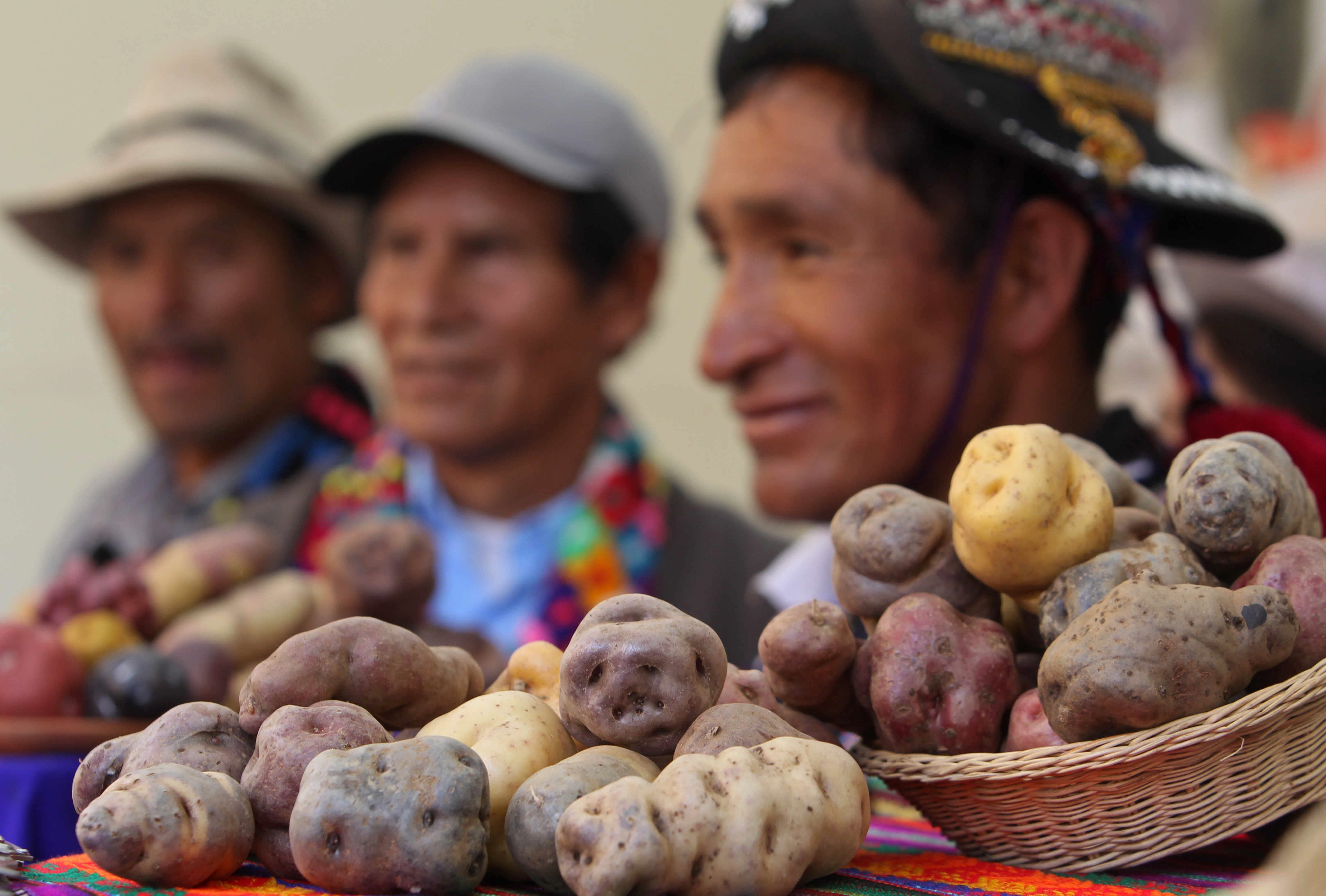 Farmers from different cities of Peru gather to celebrate the national day of the potato in Lima, Peru