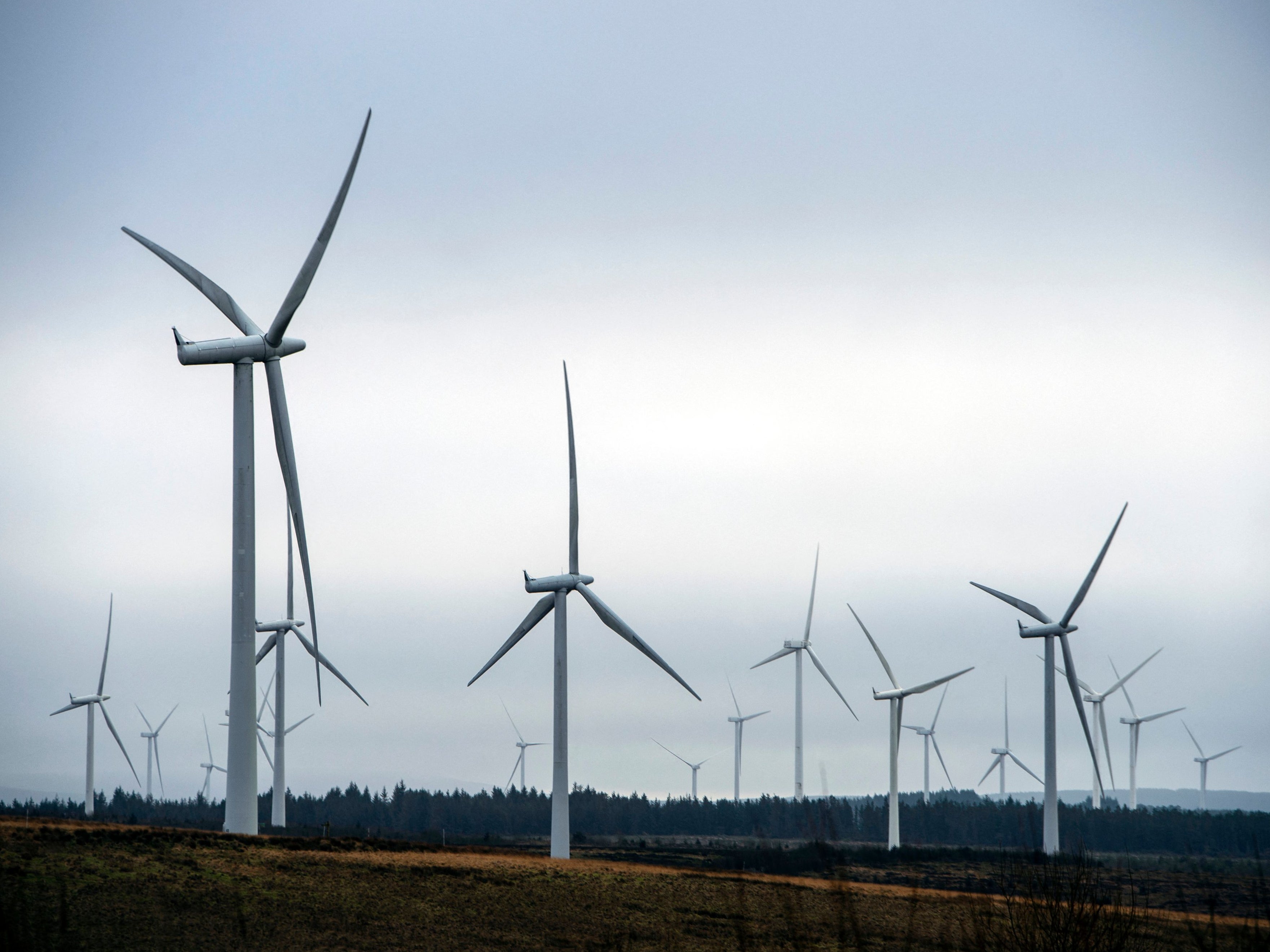 The energy crisis exposes the need to shift to renewables, experts and politicians say