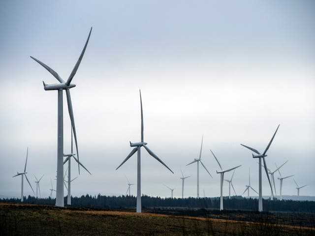 <p>The energy crisis exposes the need to shift to renewables, experts and politicians say</p>