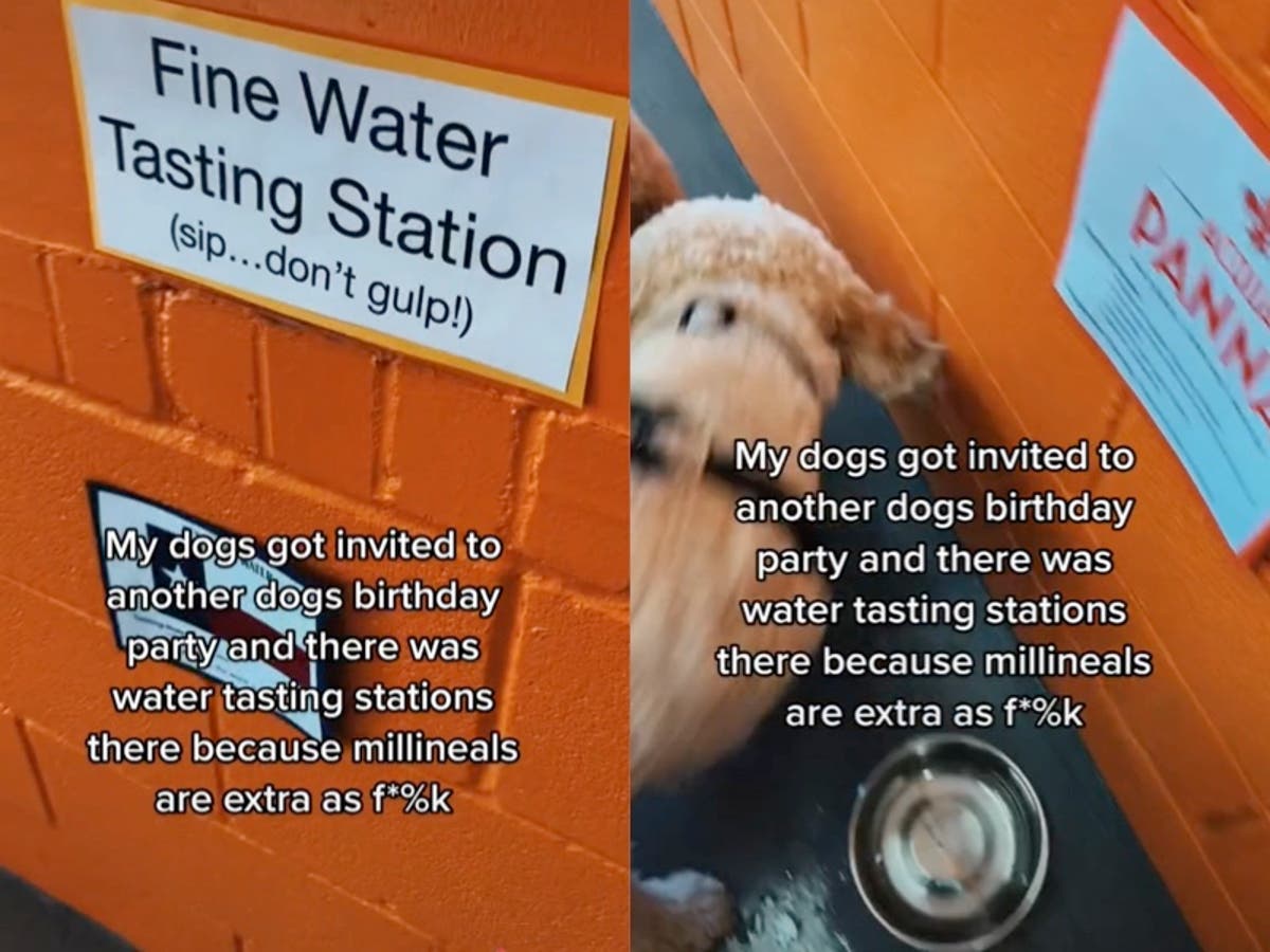 Woman shares dog birthday party complete with &lsquo;fine water tasting station&rsquo;: &lsquo;Millennials are extra&rsquo;