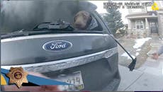 Lucky dog: Colorado deputy rescues pup from burning SUV
