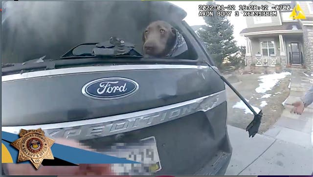 Burning SUV Dog Rescue