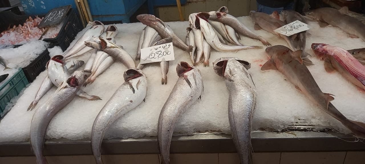 The endangered spiny dogfish shark (to the right) on sale at the central market in Tunis