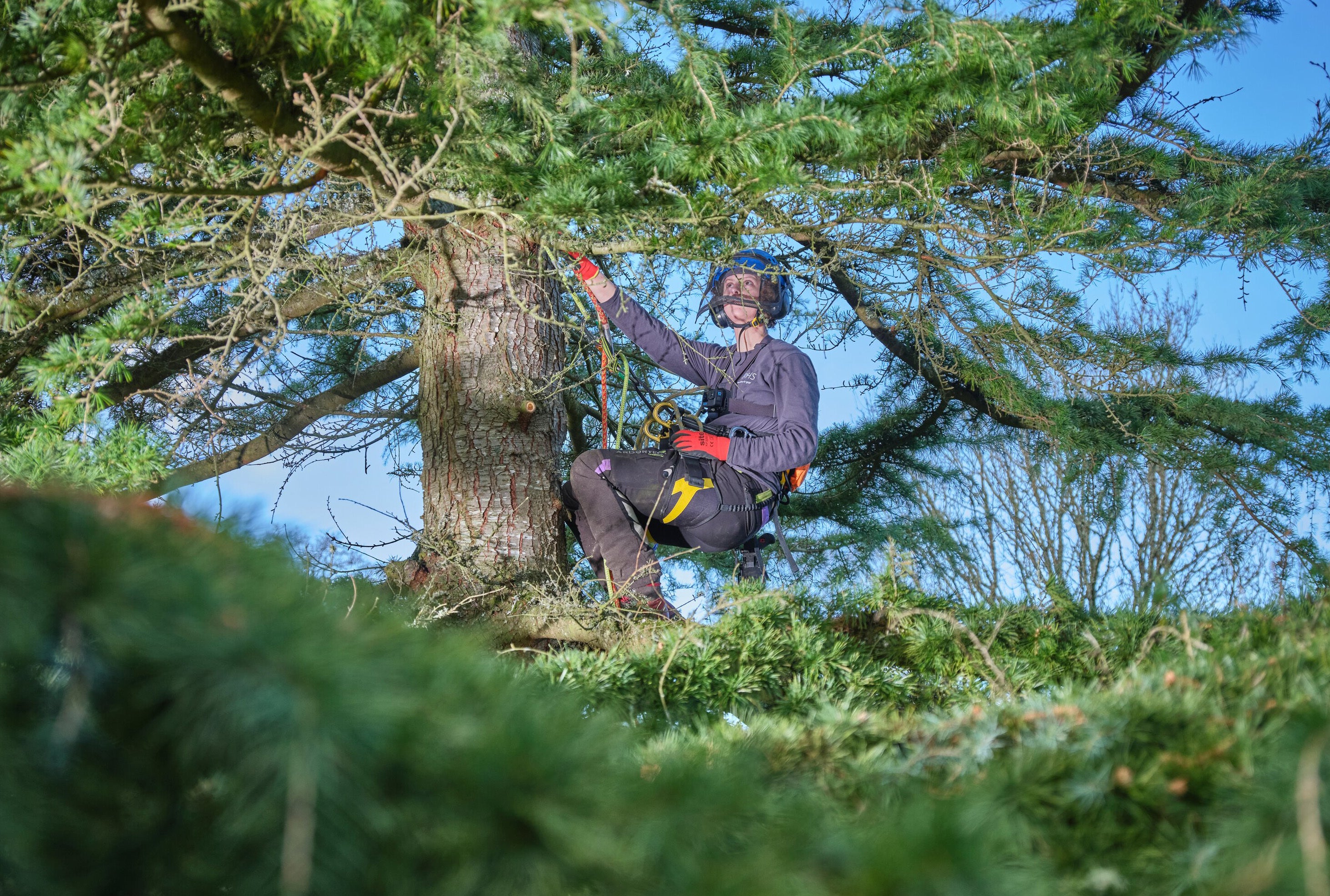 Gabriella Jardine is the Royal Horticultural Society’s second-ever female arborist apprentice (RHS/Guy Harrop/PA)
