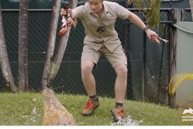 <p>Robert Irwin narrowly escaped a crocodile attack</p>
