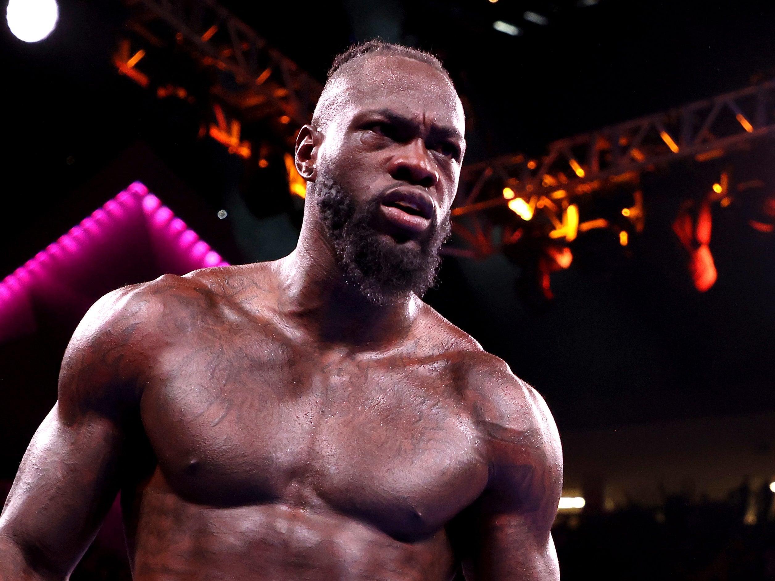 Wilder could soon be back in the ring