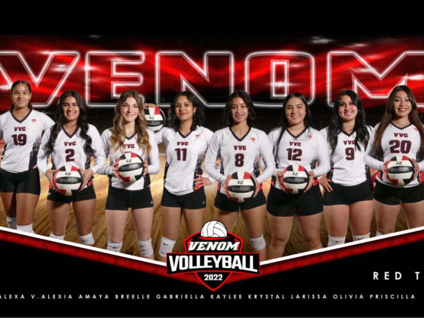 <p>A teenage player on the Venom Volleyball club died in a car crash on her way to a tournament</p>