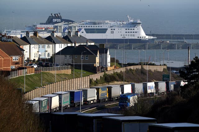 Lorries queue for the Port of Dover in Kent (Gareth Fuller/PA)
