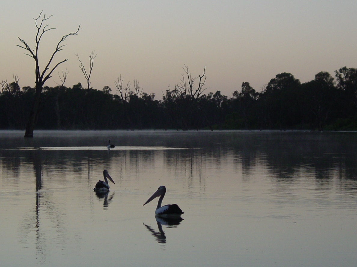 Distant dream: the Murray River in Victoria, Australia