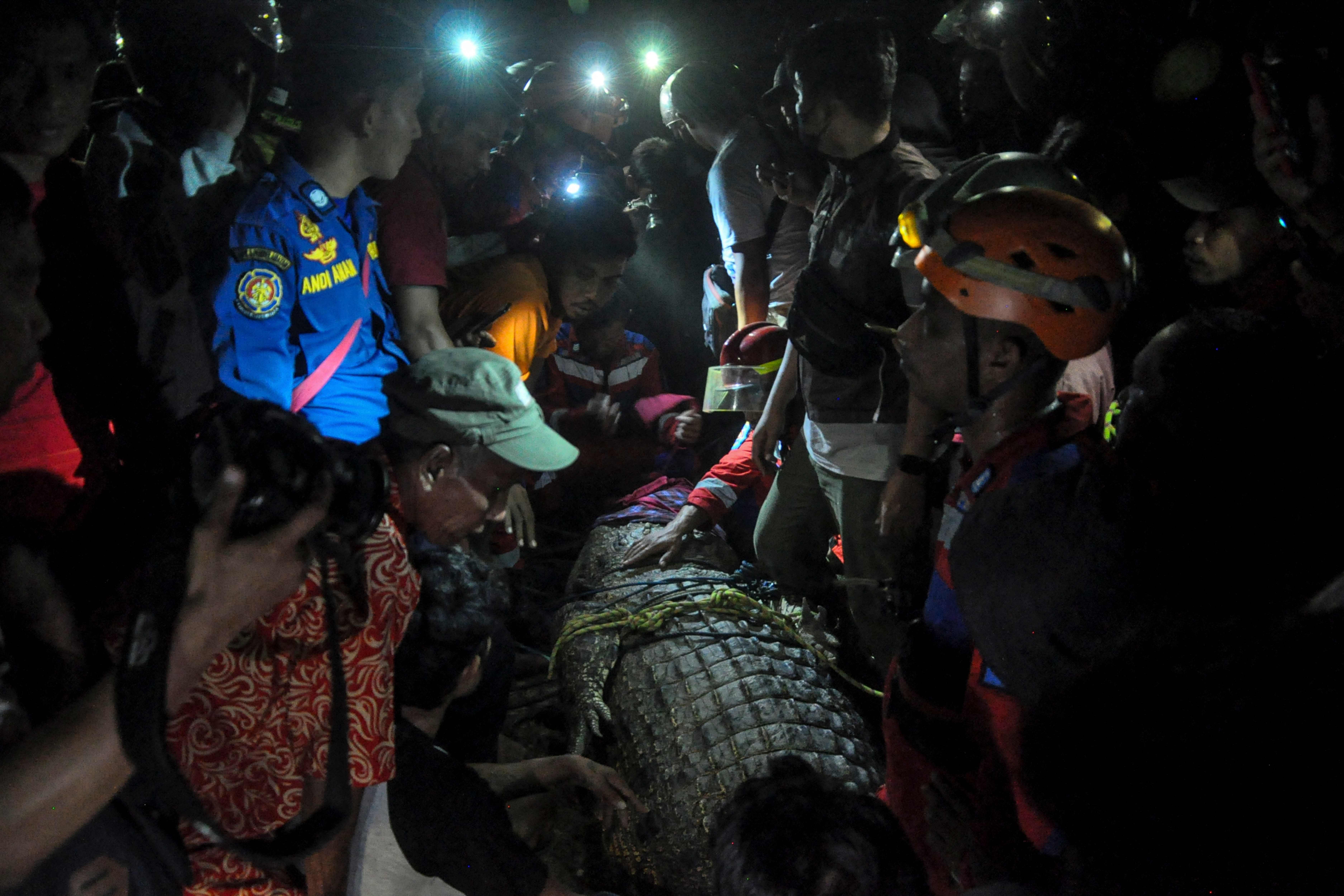 Dozens of residents were involved in the operation after the crocodile was brought on land