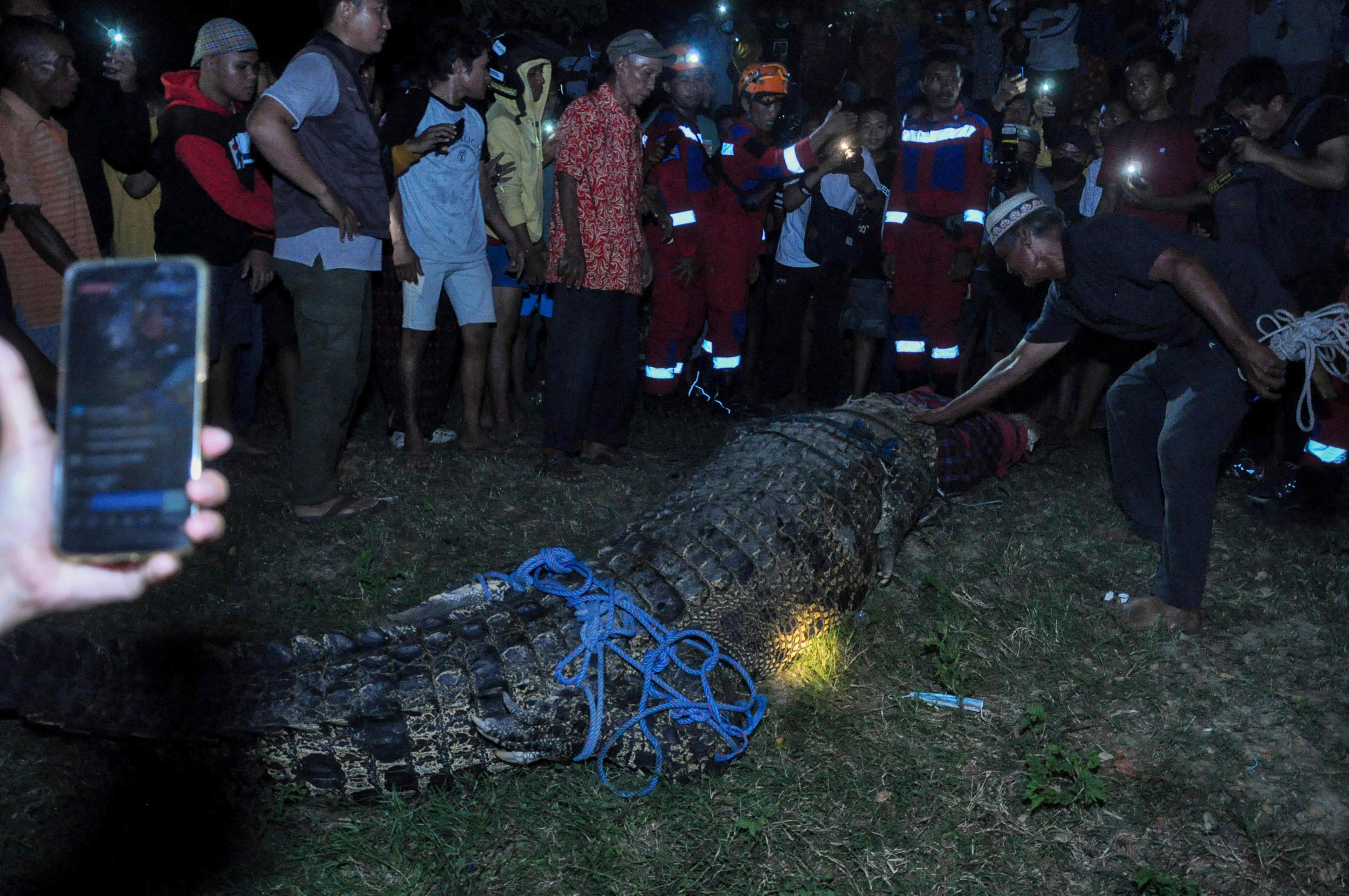 Residents free a crocodile from a tyre which was stuck around its neck for about five years, before releasing it into a river in Palu,