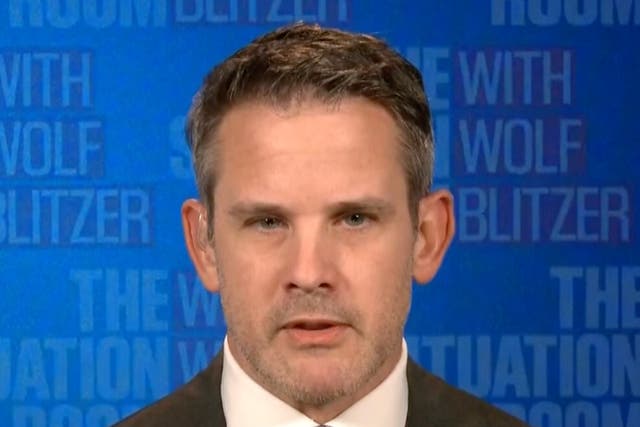 <p>Adam Kinzinger told CNN that he fears Civil War in the United States</p>