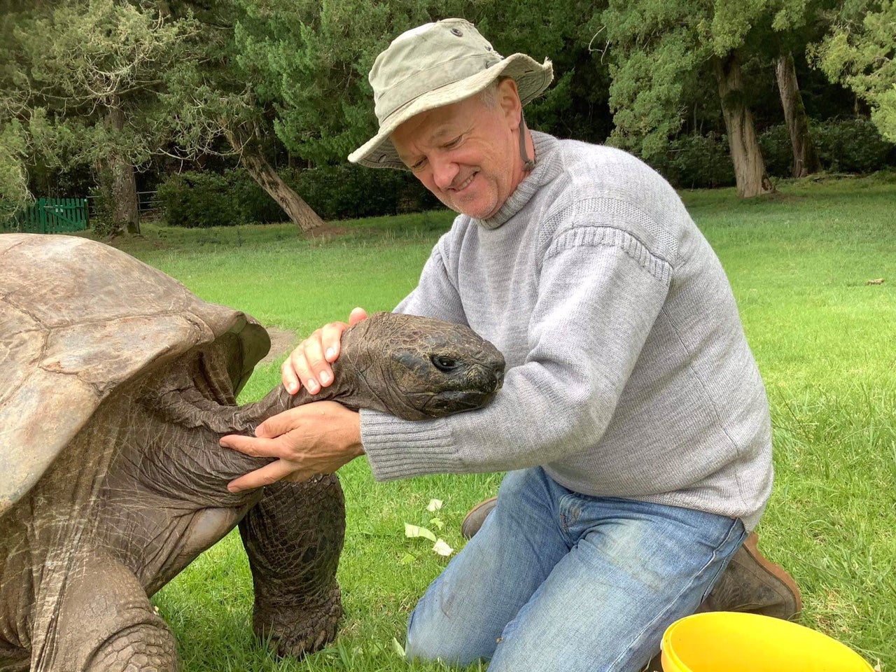 Meet Jonathan The Tortoise The World s Oldest Land Animal The 