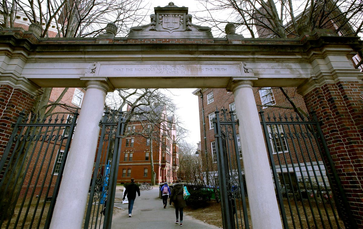 3 women sue Harvard, allege school ignored sexual harassment | The Independent