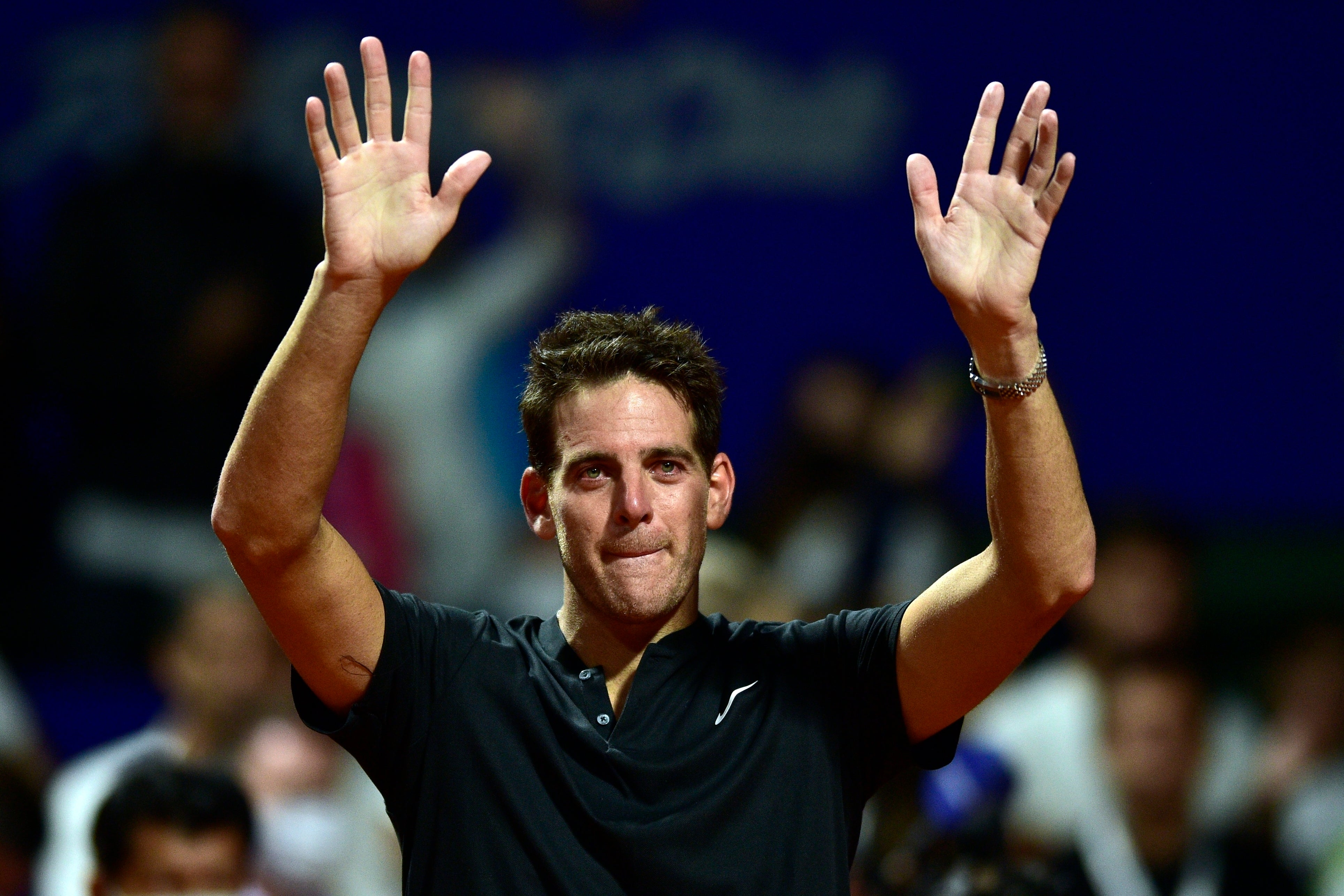 Juan Martin del Potro concluded his injury-plagued career in 2022