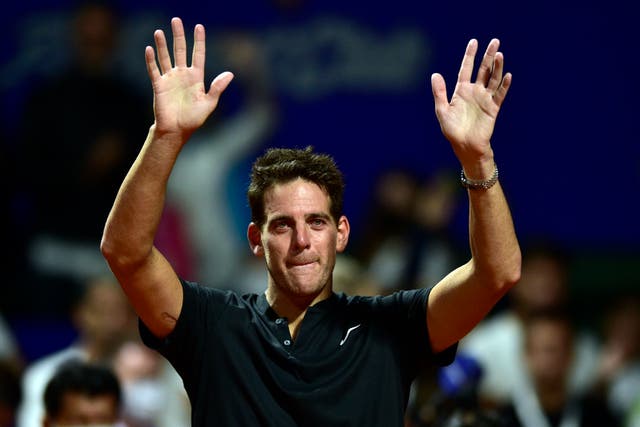 <p>Juan Martin del Potro concluded his injury-plagued career in 2022 </p>