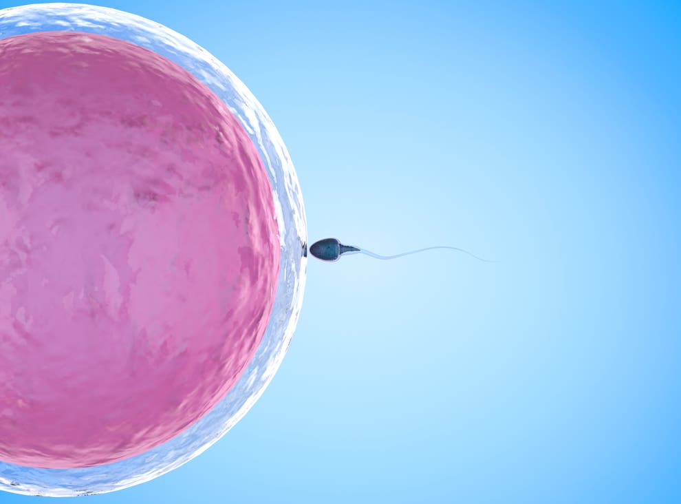 Woman’s Twitter thread on why she’s freezing her eggs goes Woman’s Twitter thread on why she’s freezing her eggs goes