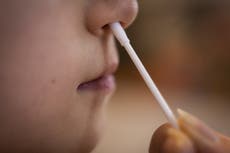 Seven in 10 older primary school children likely to have Covid-19 antibodies