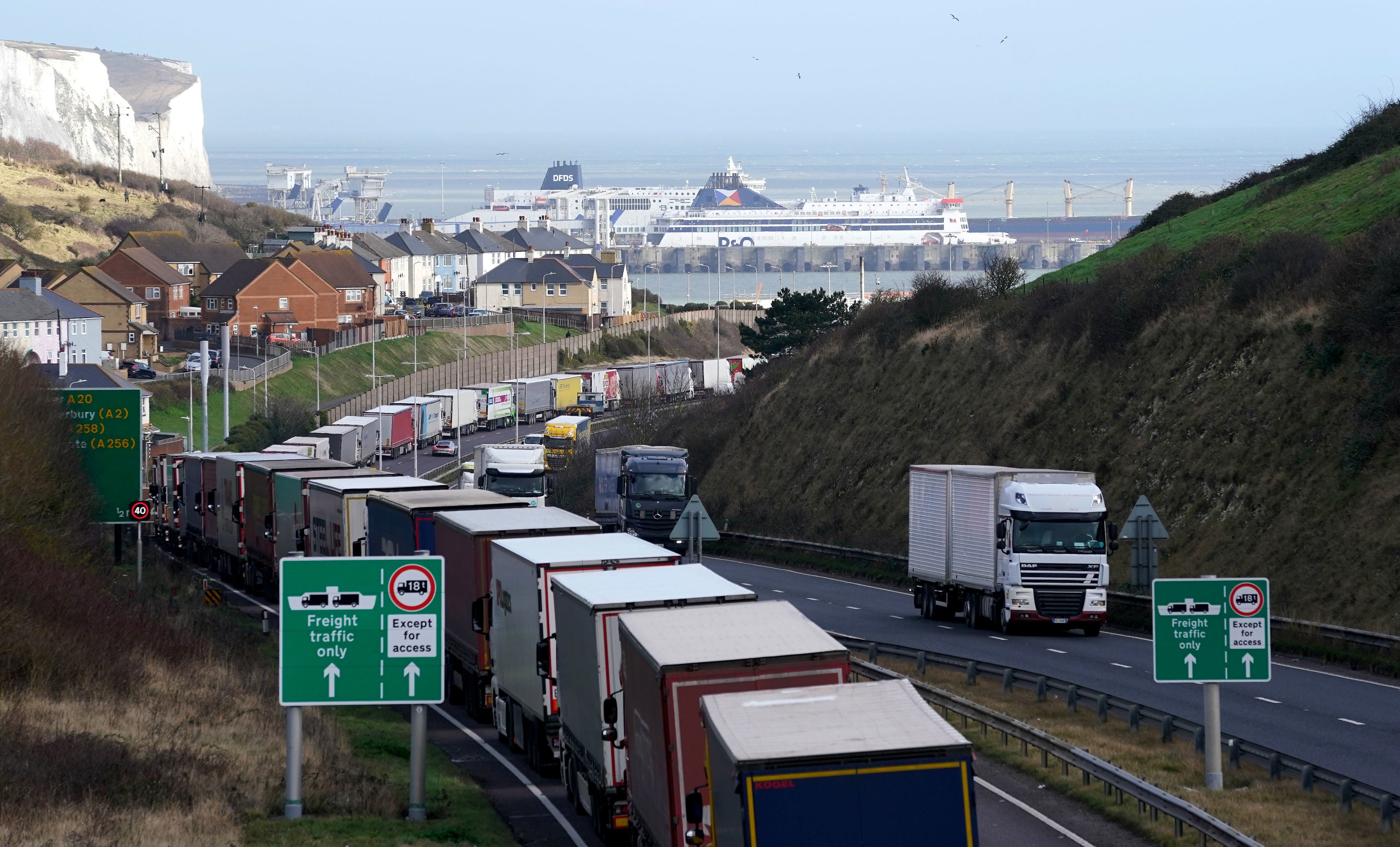<p>Lorries queue near the Port of Dover in Kent</p>
