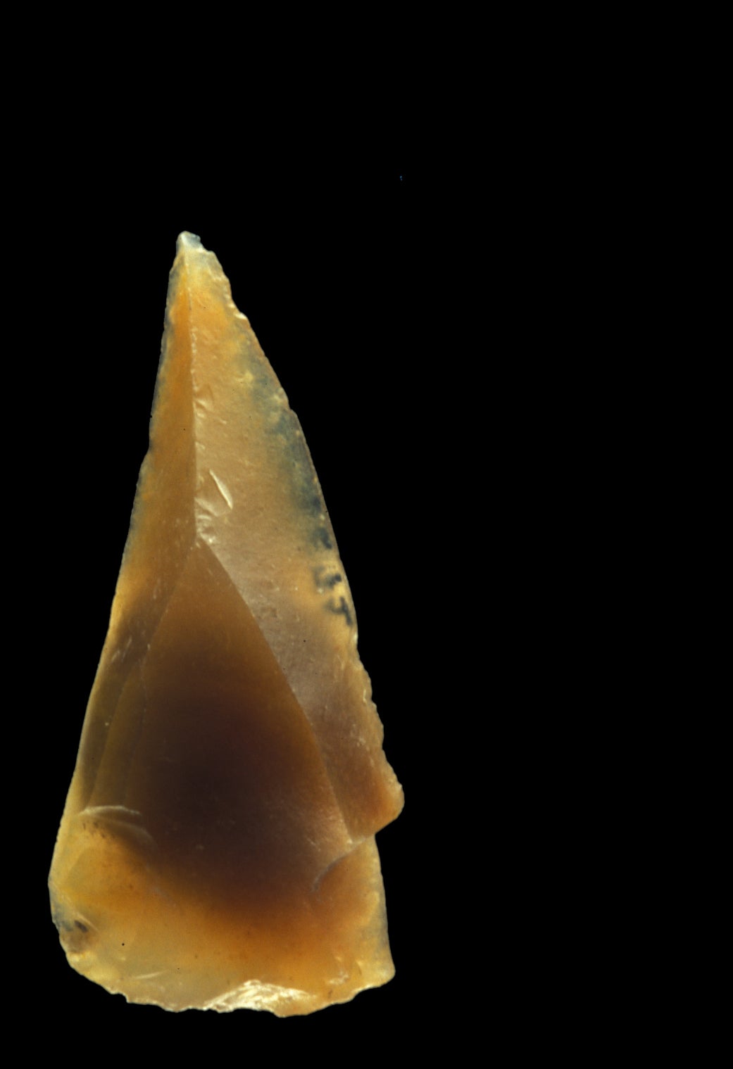 The team found flint tools in the Grotte Mandrin cave, believed to have been made by Homo sapiens hunters