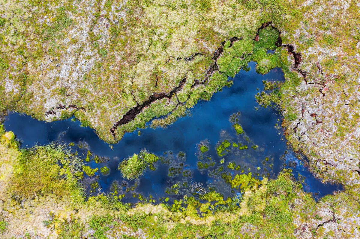 Thawing of Arctic permafrost may release cancer-causing gas, scientists warn