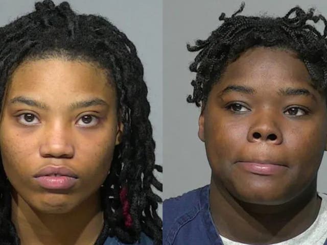 <p>Bryanna Johnson and Breanta Johnson, both aged 20</p>