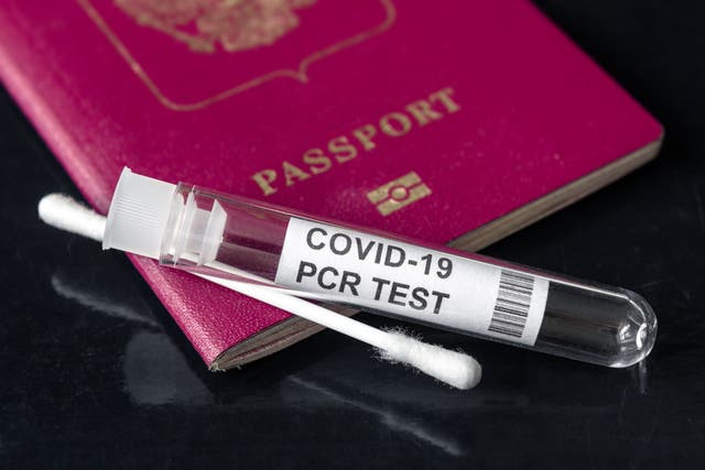 <p>Travel tests are set to be axed for unvaccinated arrivals </p>