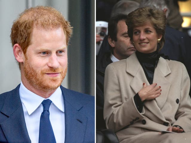 <p>El príncipe Harry dice que la obra de la princesa Diana está “inconclusa” </p>