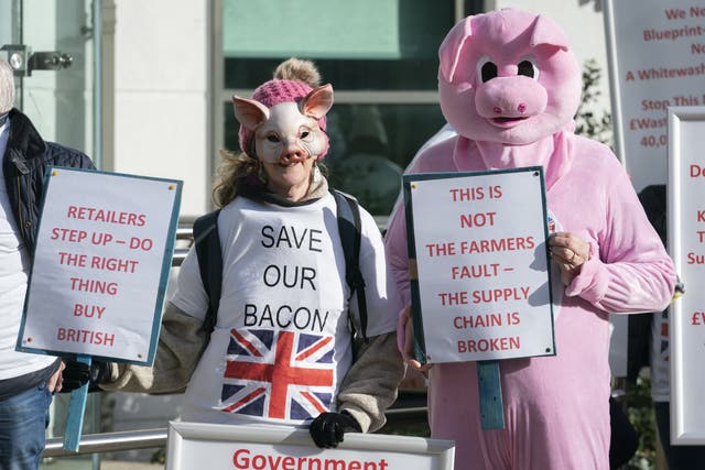A demonstration outside the Department for Environment, Food & Rural Affairs office in York (Danny Lawson/PA)