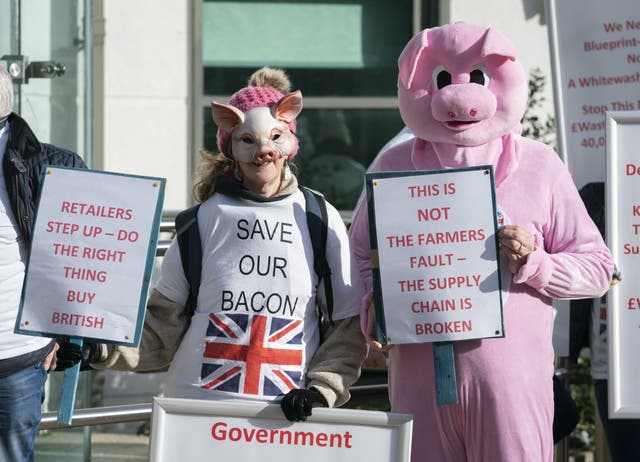 A demonstration outside the Department for Environment, Food & Rural Affairs office in York (Danny Lawson/PA)