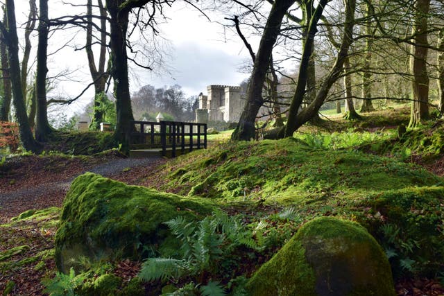<p>Killeavy Castle Estate, home to tranquil forest bathing retreats</p>