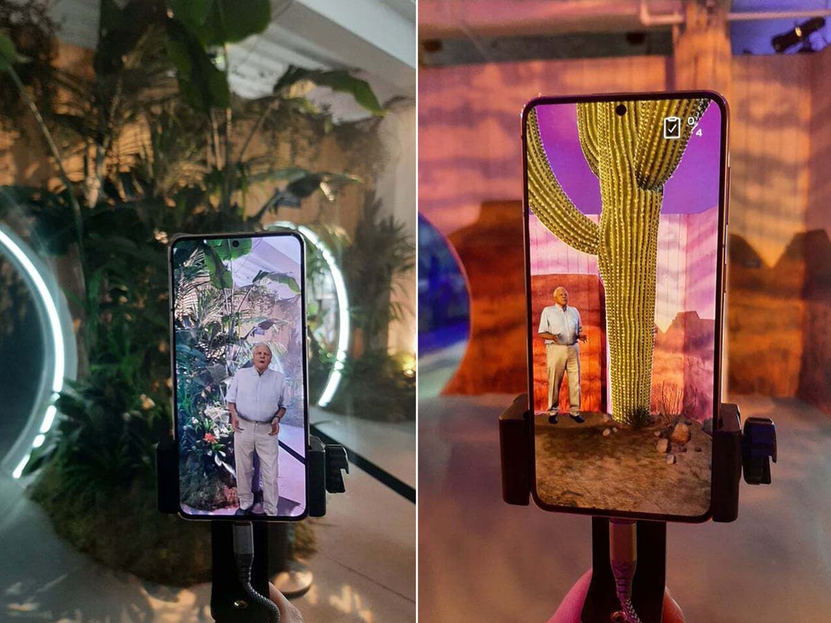 Hologram David Attenborough brings tropical rainforest and deserts to life in central London