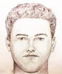 <p>A police sketch of the man believed to have killed Abby and Libby </p>