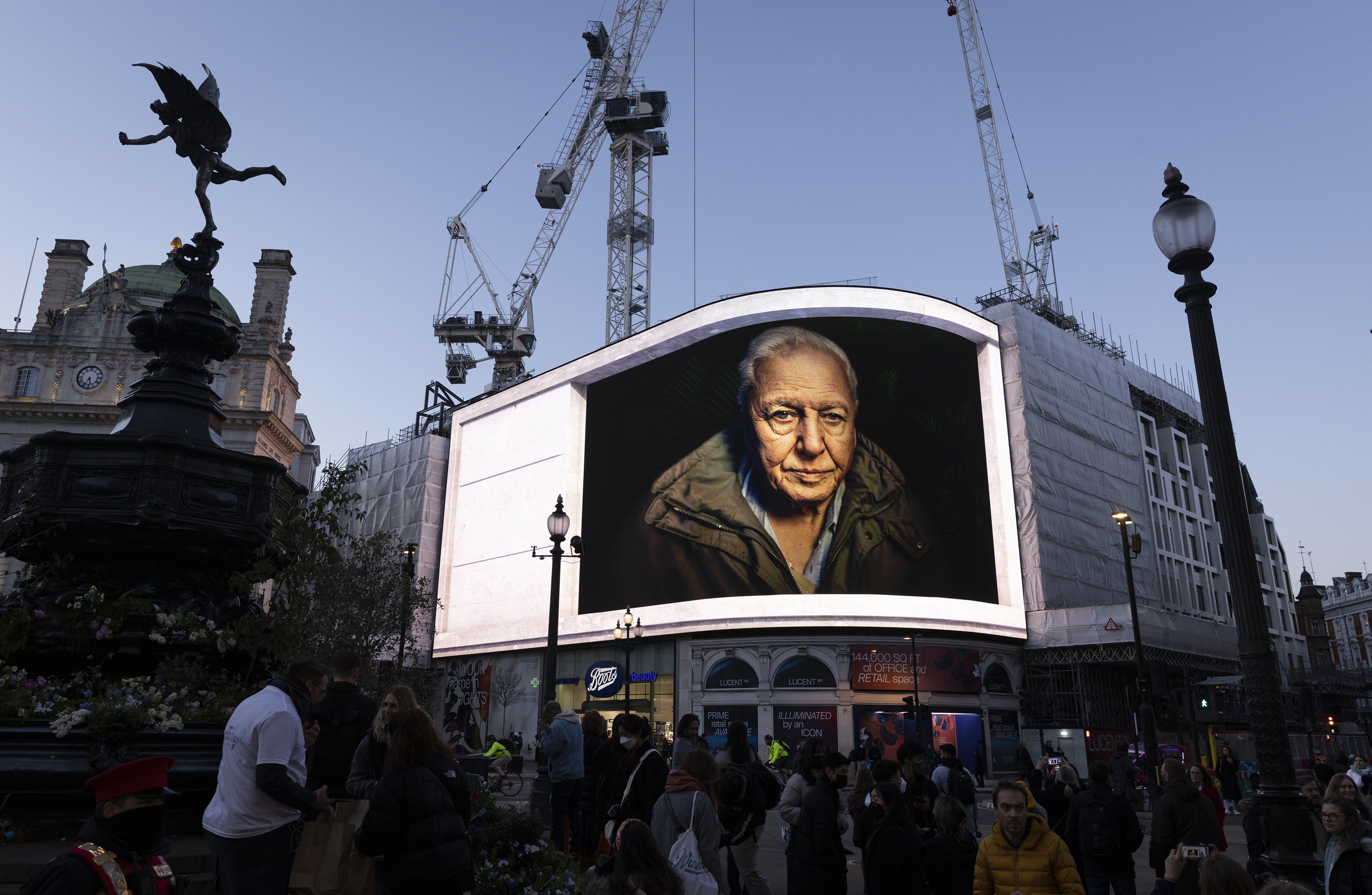 The veteran broadcaster alerted commuters about the importance of plants via Piccadilly Circus’s advertising screens (Matt Alexander/PA)