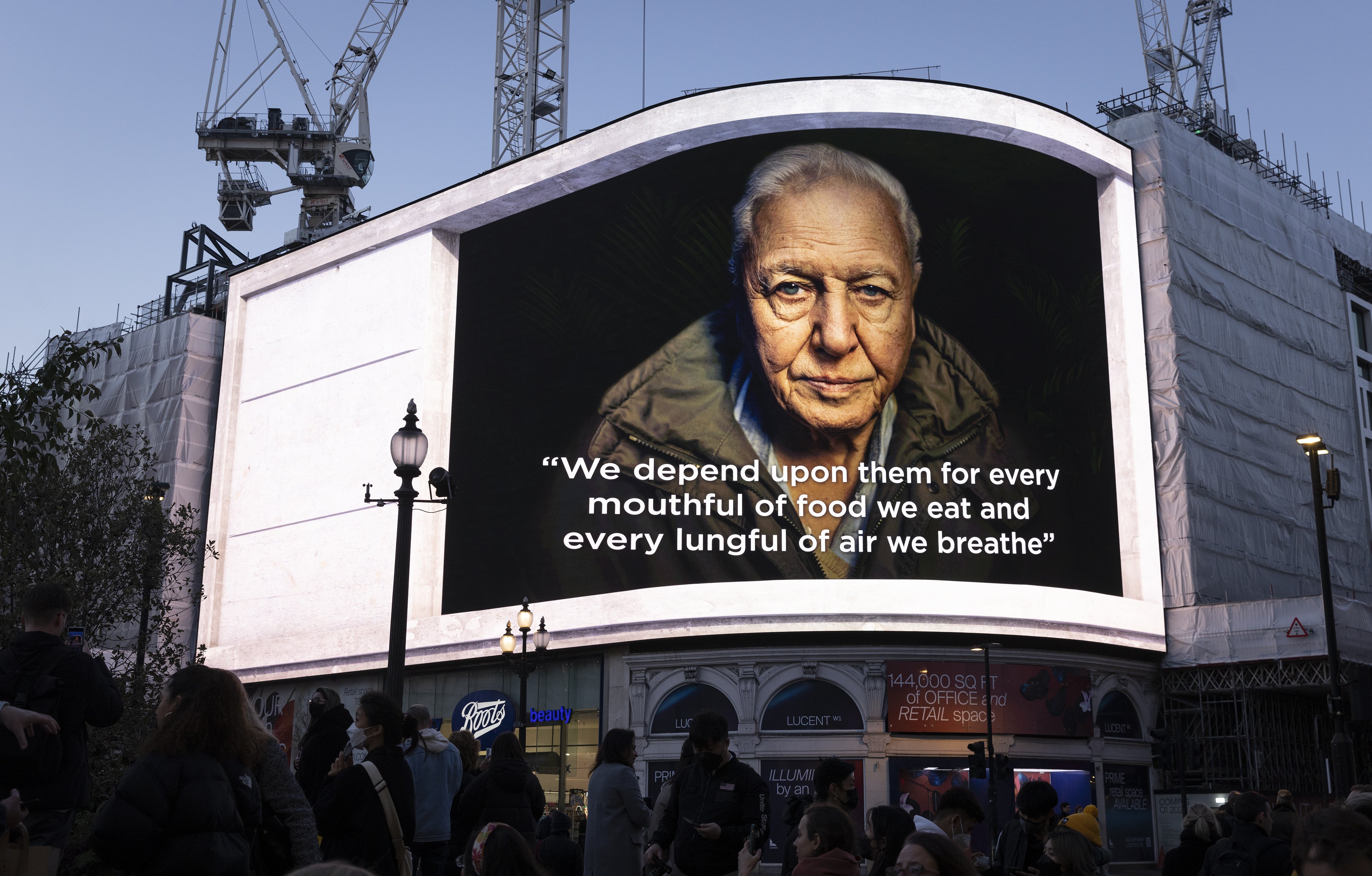 A 3D digital sequence featuring Sir David Attenborough is unveiled at Piccadilly Lights (Matt Alexander/PA)