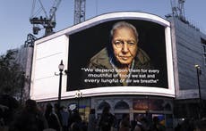 David Attenborough lights up Piccadilly Circus with message about plant power