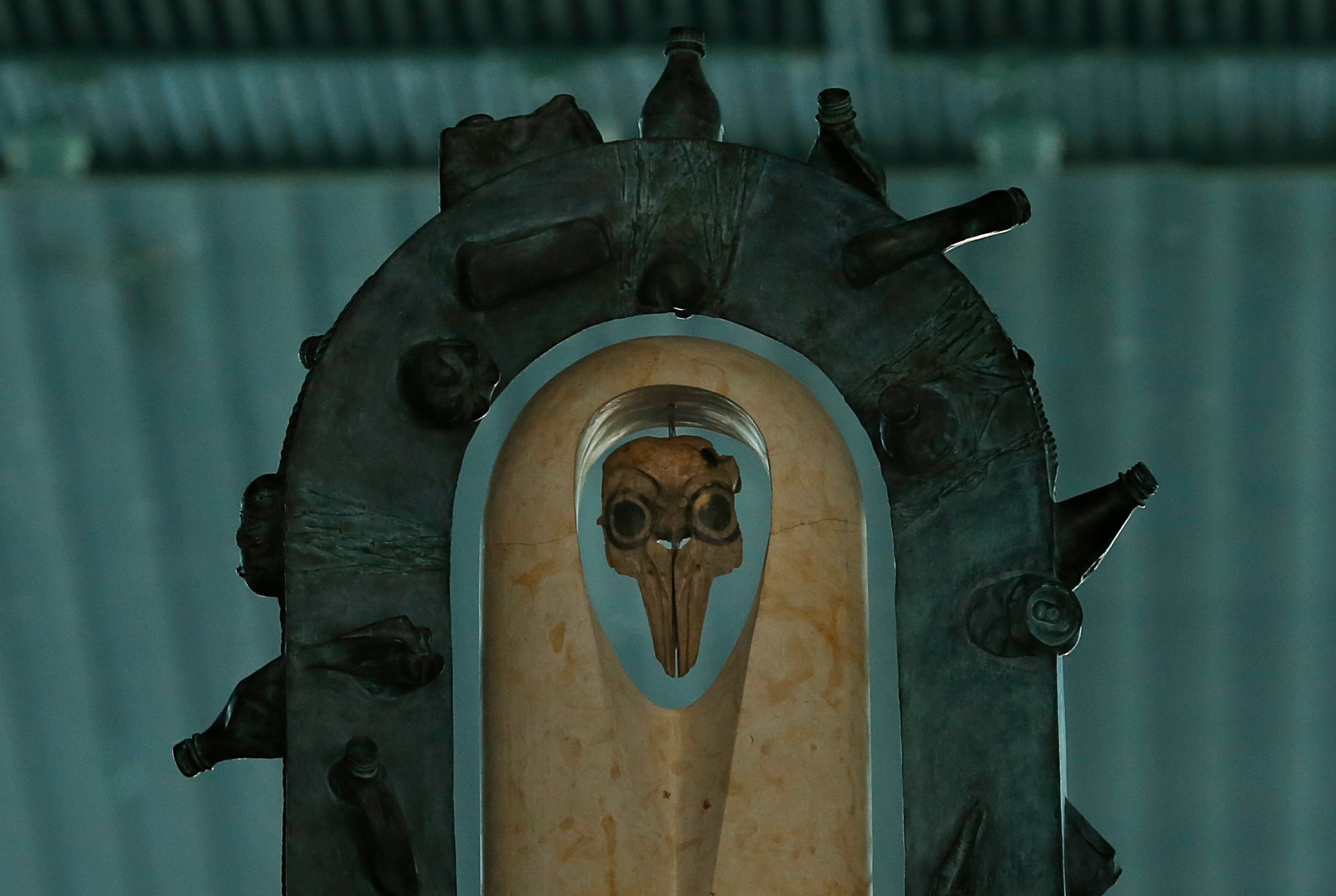 MÉXICO-EEUU-VAQUITA MARINA