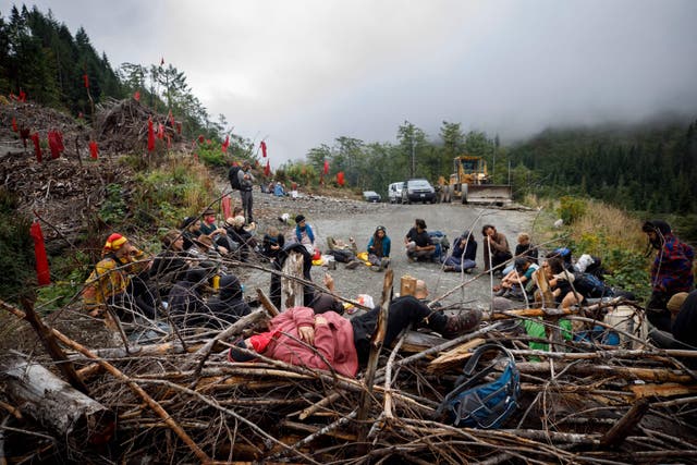<p>Protestors sit in front of downed trees used as a road block at a protest camp for the Fairy Creek anti-old growth logging blockade, 18kms (11 miles) northeast of Port Renfrew on Vancouver Island, Canada, on 6 September 2021 </p>