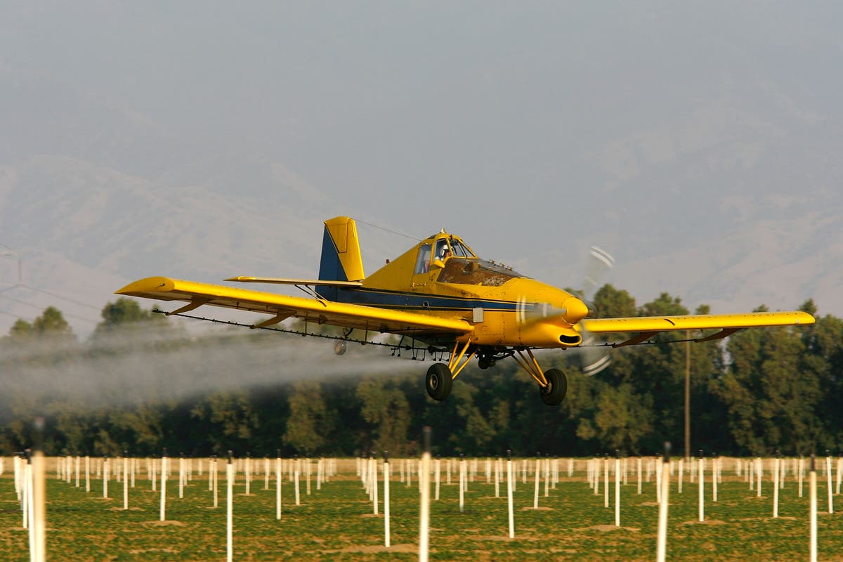 One in three Americans have high levels of toxic weed-killing chemical in their bodies, new study finds