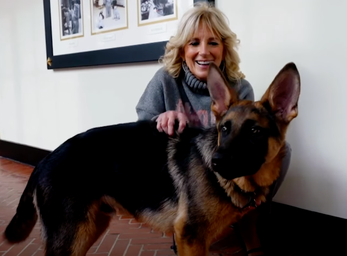 First Lady Jill Biden and Commander feature in Puppy Bowl ad