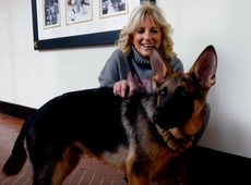 First Lady Jill Biden and First Dog Commander appear in 2022 Puppy Bowl ad about love