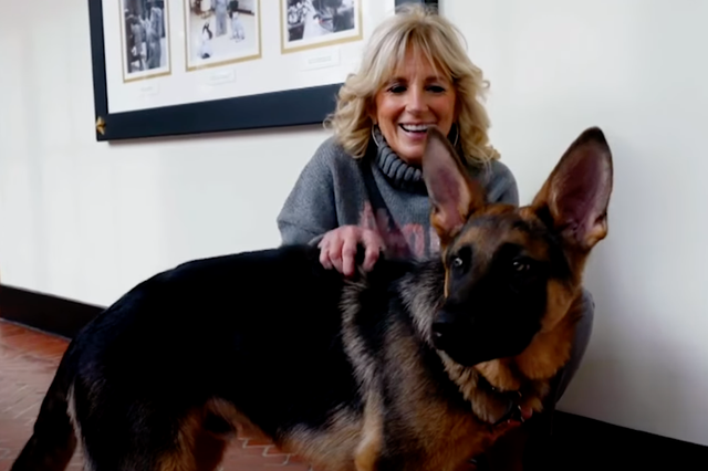 <p>First Lady Jill Biden and Commander feature in Puppy Bowl ad</p>