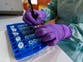 Lassa fever: Ebola-like virus found in person who travelled to the UK