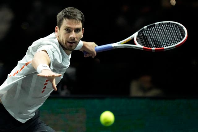 Cameron Norrie (pictured) was beaten by Felix Auger-Aliassime in Rotterdam (Peter Dejong/AP)